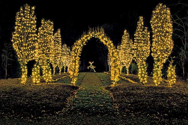 Christmas - Colonial Gardens