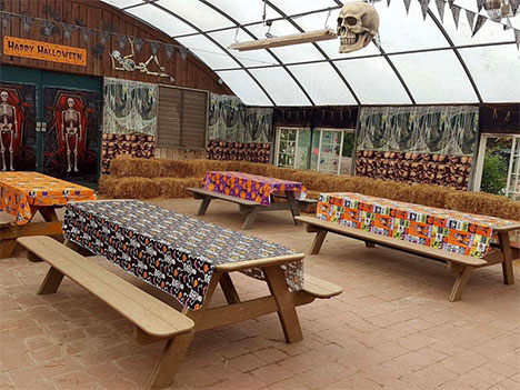 Pumpkinland Party Room
