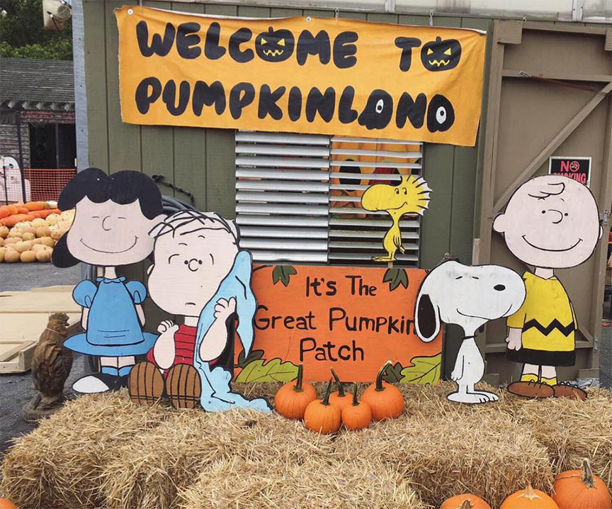 Welcome to Pumpkinland