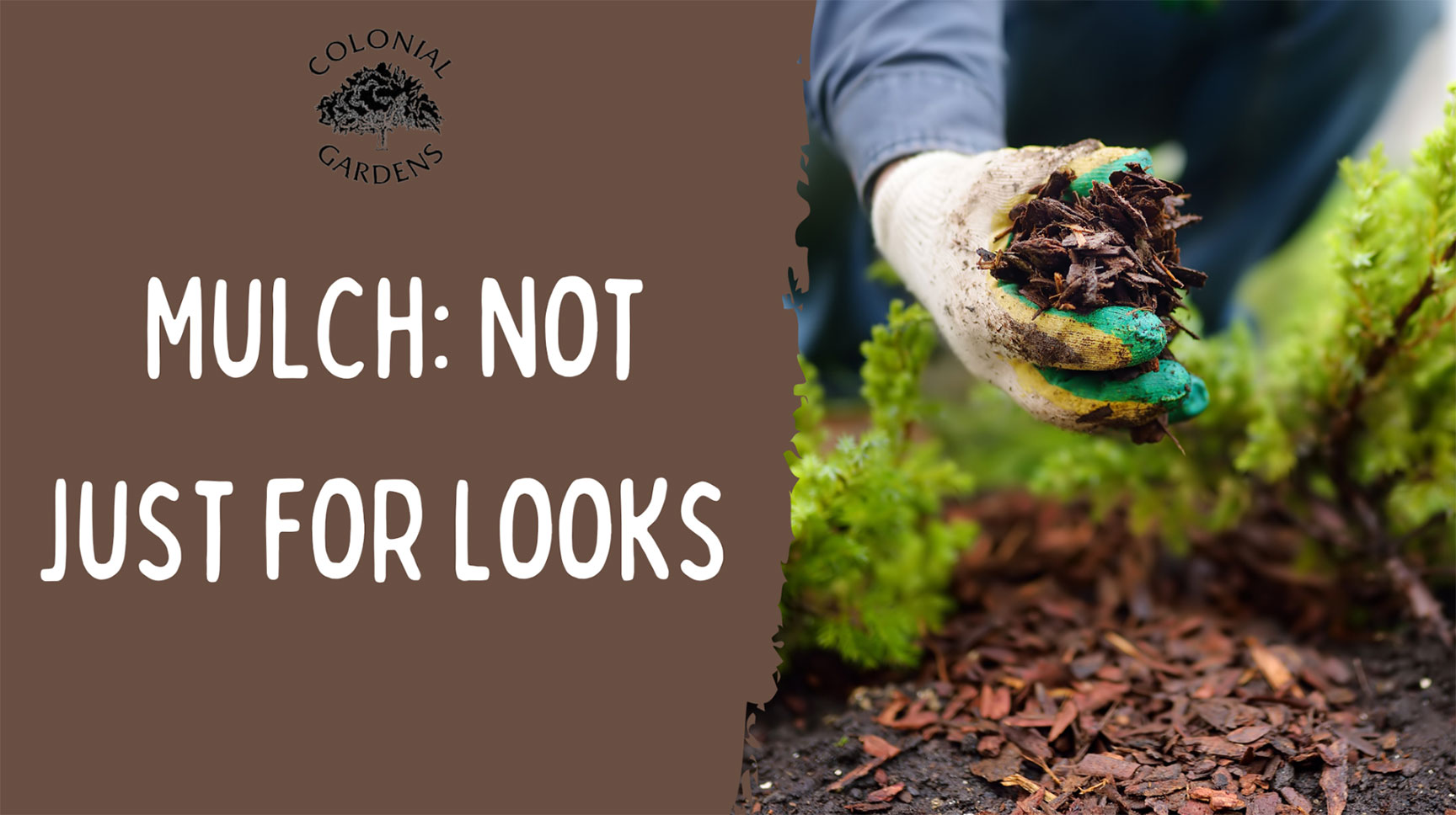 Mulch: Not Just For Looks