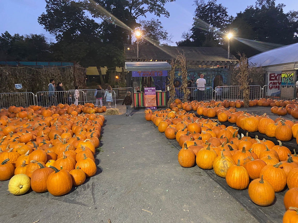 Children's night mazes