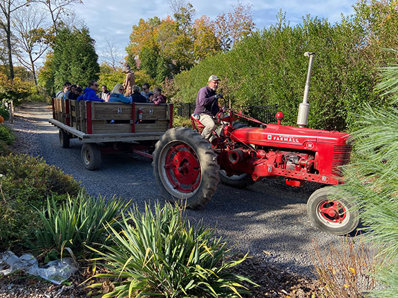 daytime hayride