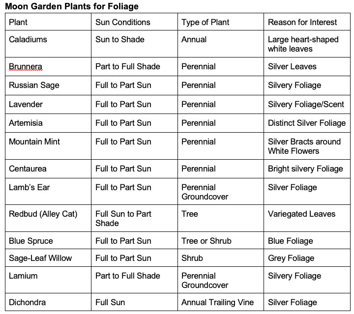 Moon Garden Plants for Foliage