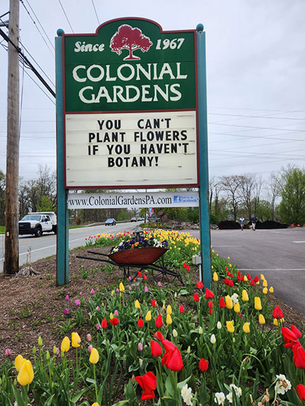 You can't plant flowers if you haven't botany!