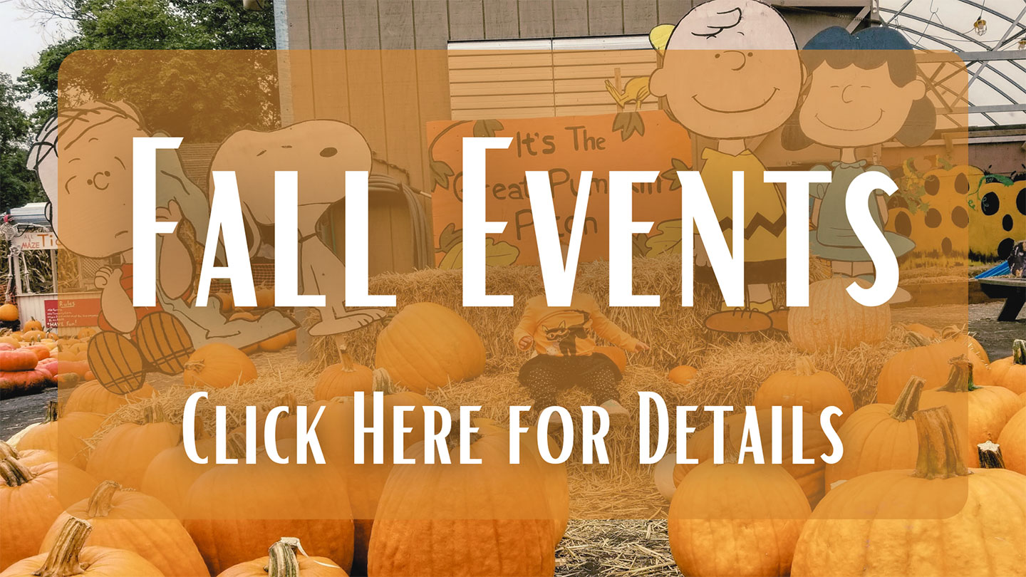 Fall Events