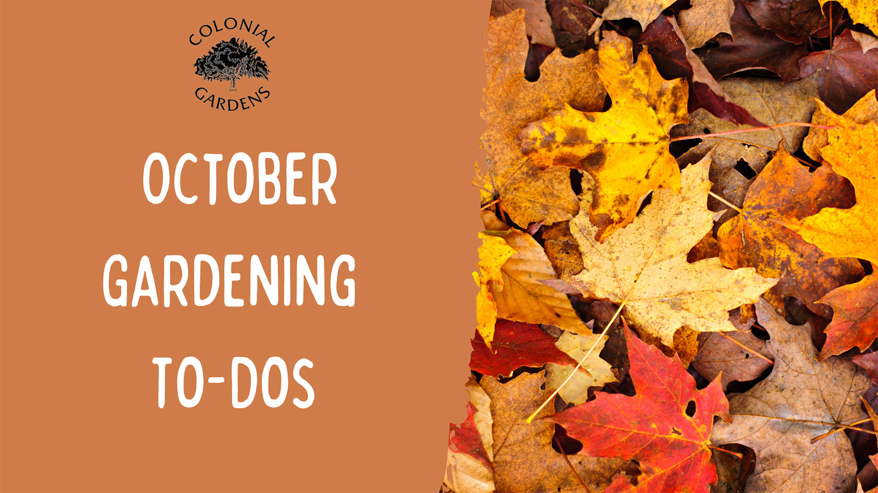 October Gardening to-dos