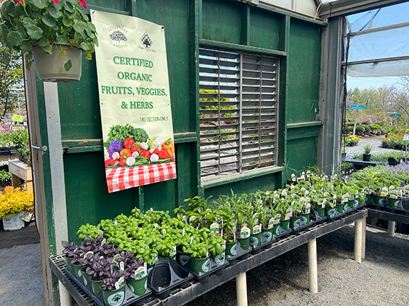 Organic plants