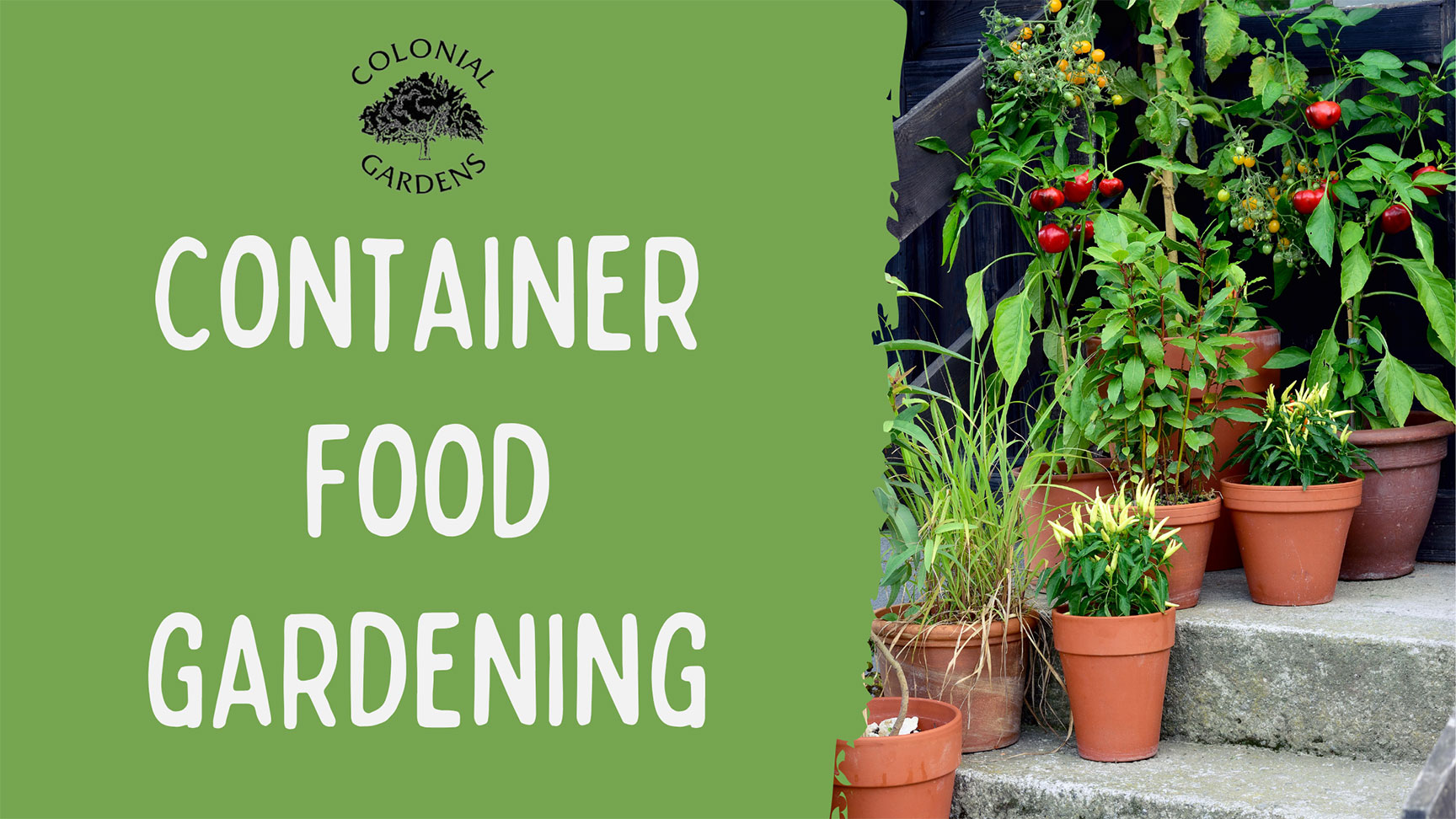 Container Food Gardening