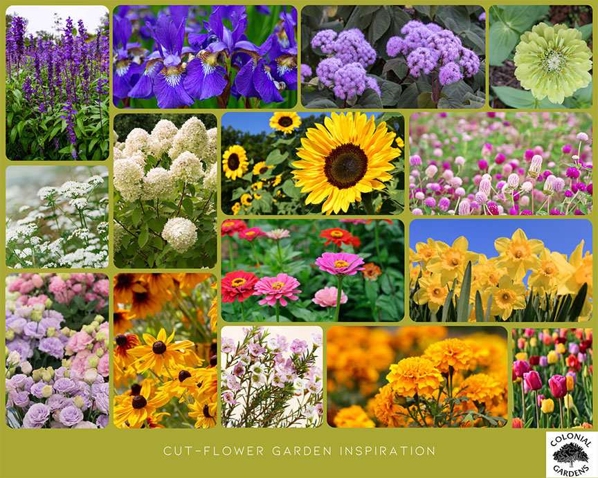 cut flower garden inspiration