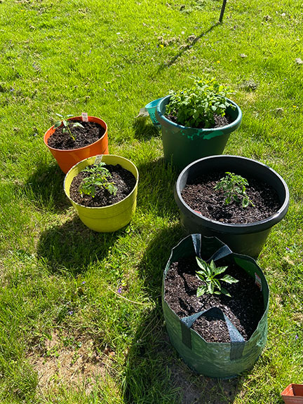 plant containers