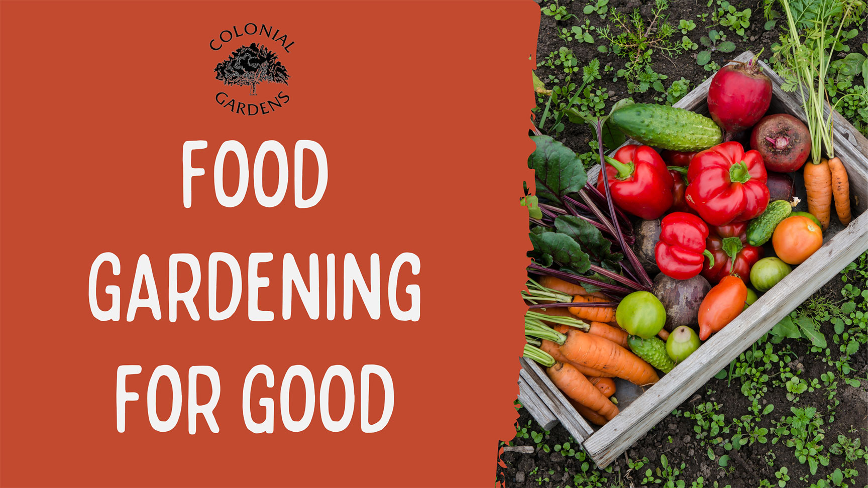Food Gardening for Good