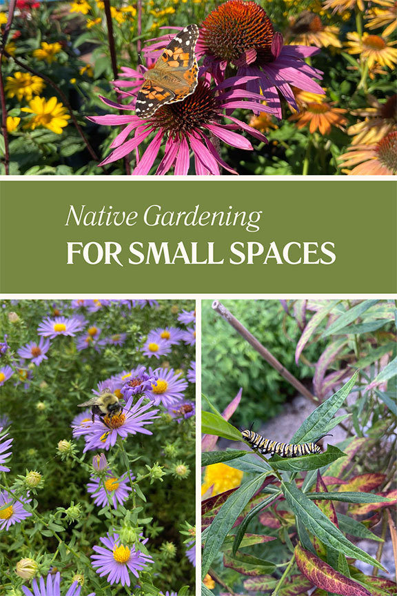 Native Gardening for Small Spaces