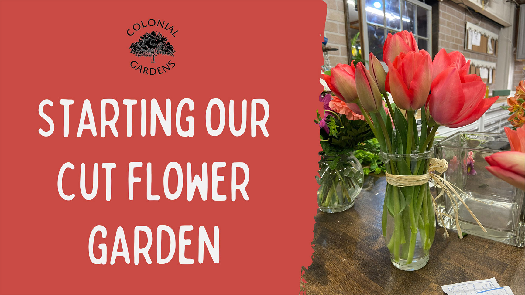 Starting Our Cut Flower Garden