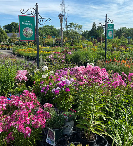 About Colonial Gardens