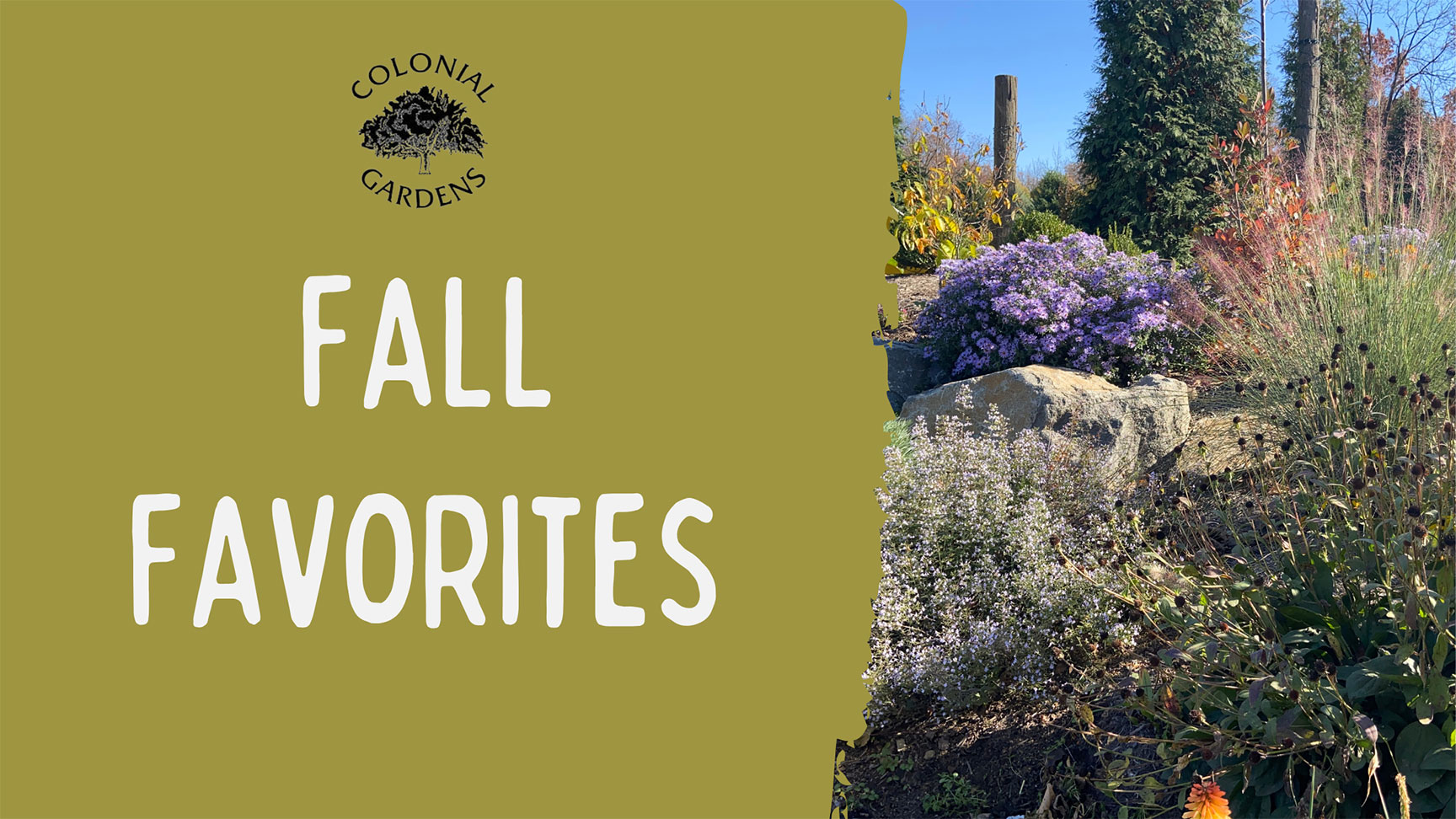 Fall Favorites