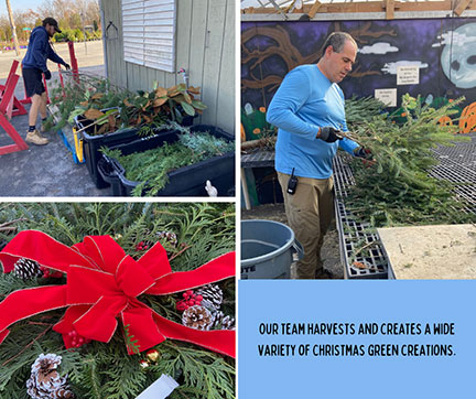 Our team harvests and creates a wide variety of Christmas green creations