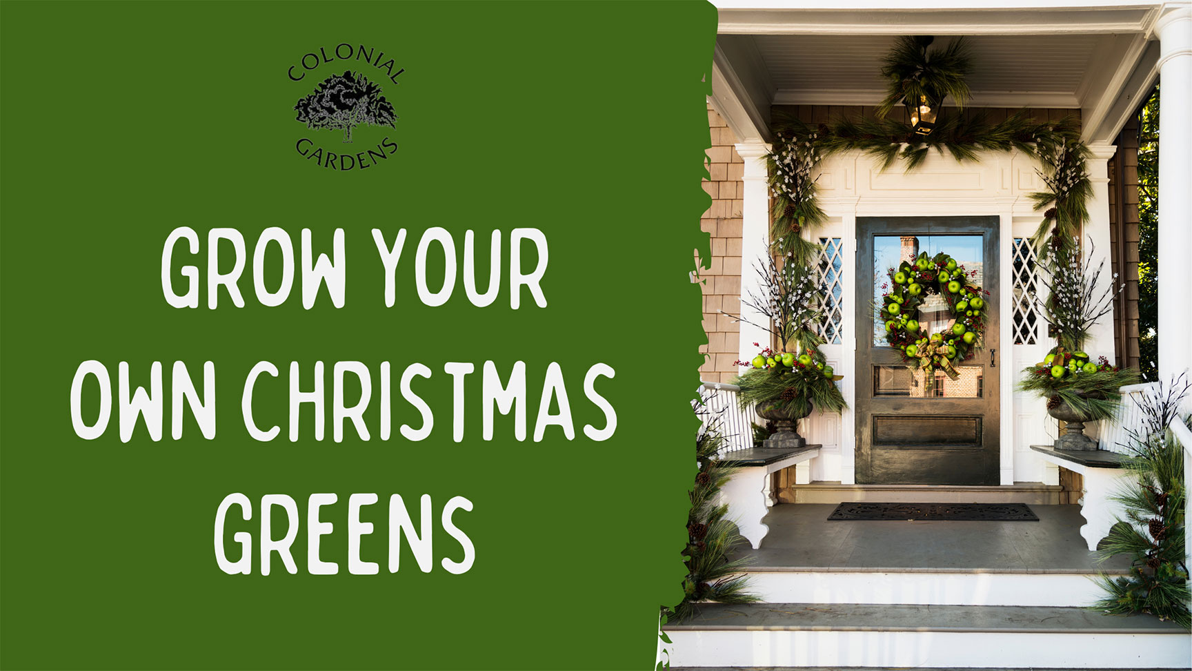 Grow your own Christmas Greens