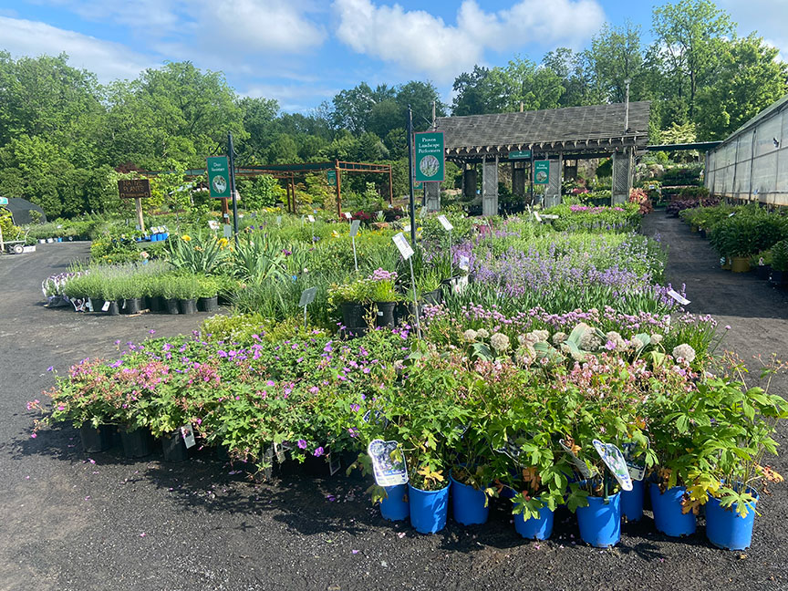 Garden Center Stroll