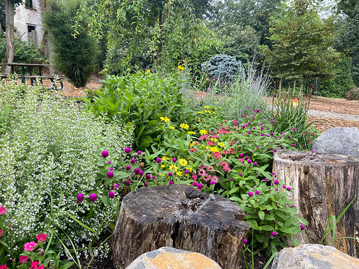 Deer resistant garden