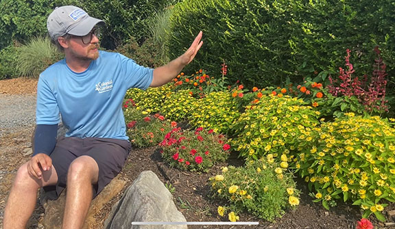 Pat with Melampodium flowers