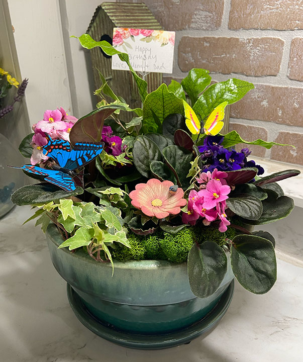 Houseplant arrangement.