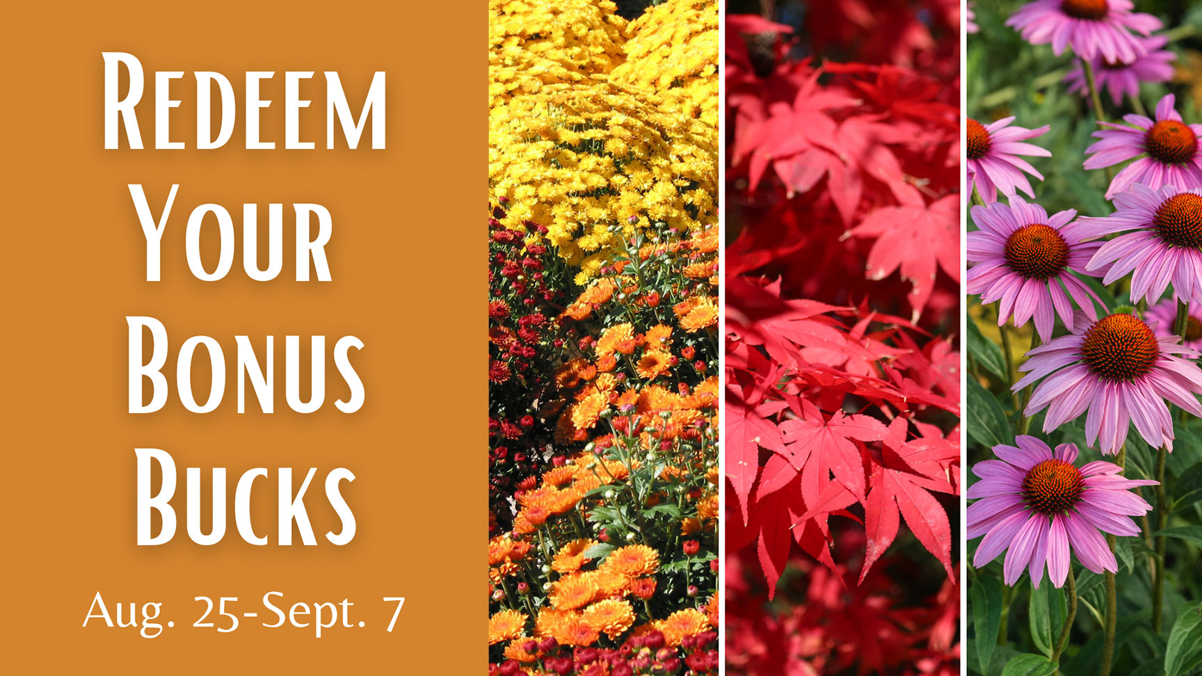 Redeem your bonus bucks Aug 25-Sept 7