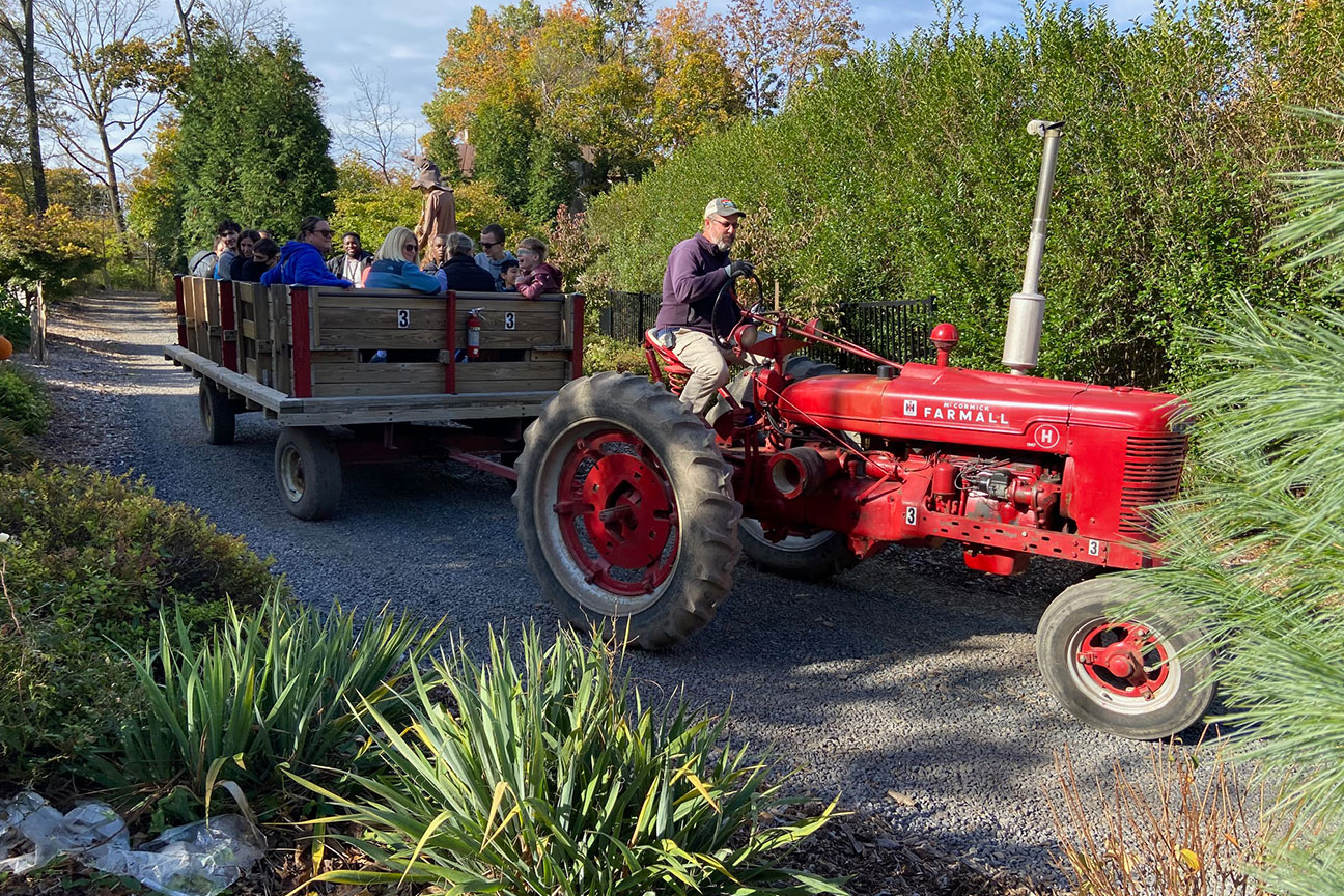 Daytime hayride during Halloween at Colonial Gardens in Phoenixville, PA.