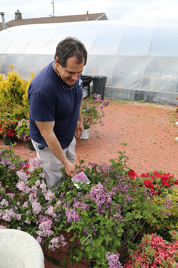 Eric Schmidt with Lilacs.