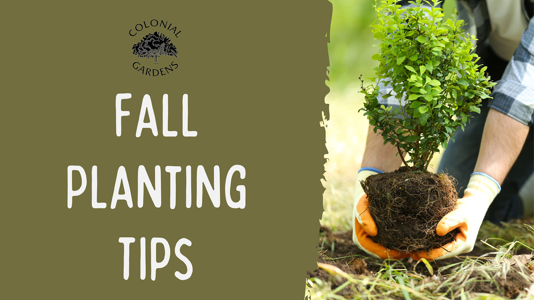 Fall planting tips.
