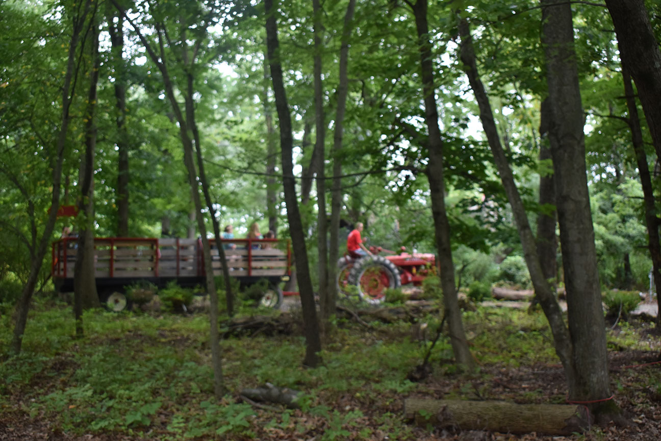 Daytime hayride during Halloween at Colonial Gardens in Phoenixville, PA.