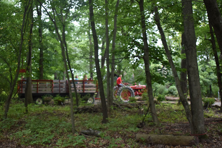 Colonial Gardens Enchanted hayride in woods.
